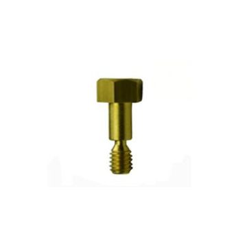 Brass Screw 4-00324