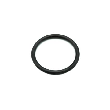 O-Ring P-55