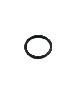 O-Ring P-31