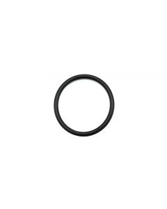 O-Ring P-40