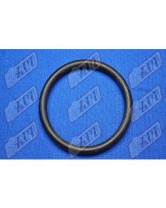 O-Ring IBP-55